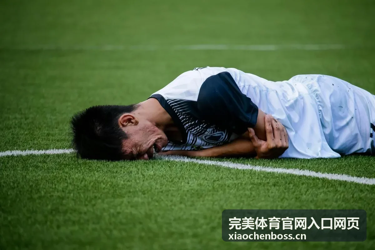 完美体育官网入口网页设置界面