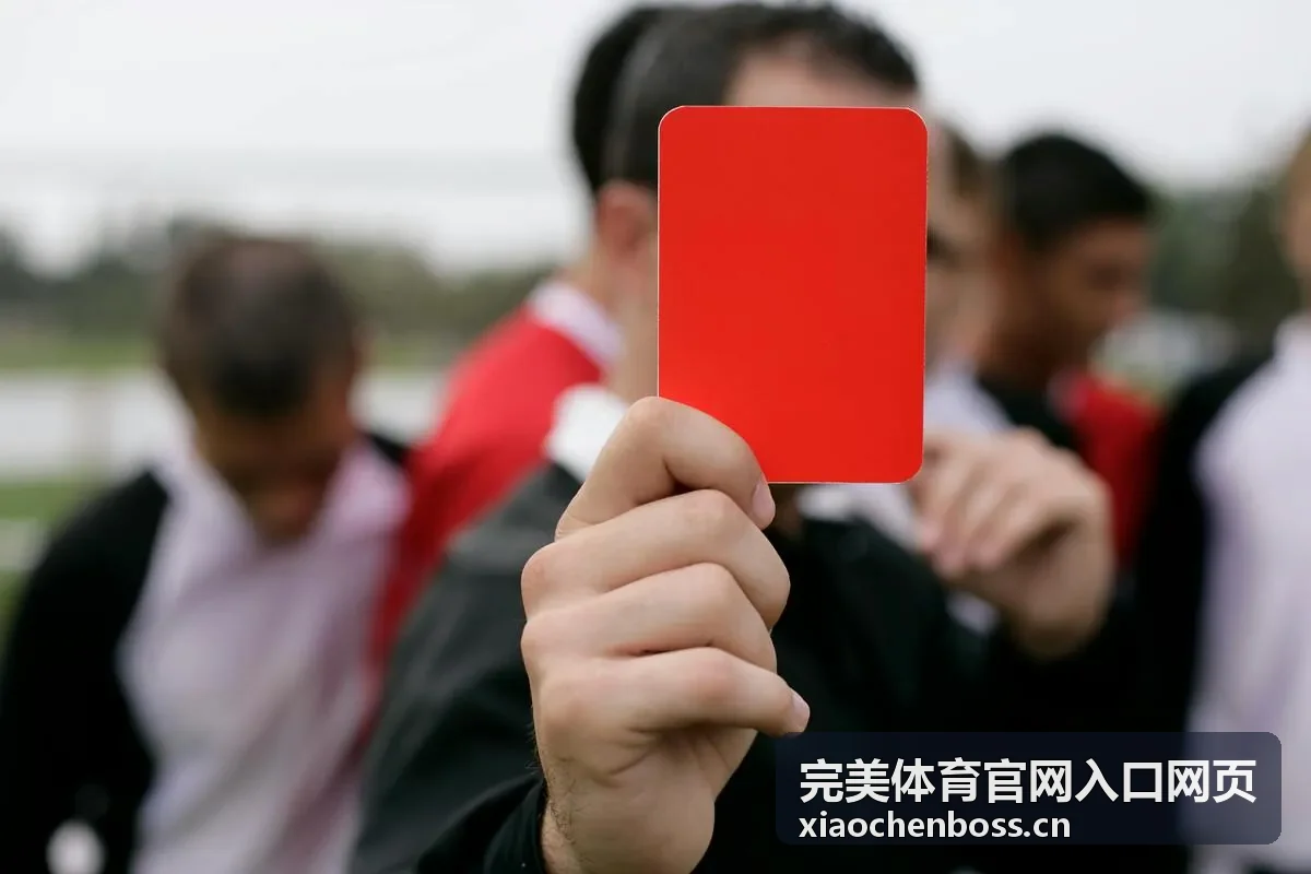完美体育官网入口网页账号登录与安全设置页面预览